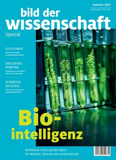 Titelbild der Ausgabe 1/2021 von bild der wissenschaft Spezial. Diese Zeitschrift und viele weitere Reisemagazine, Freizeitmagazine und Wissensmagazine als Abo oder epaper bei United Kiosk online kaufen.