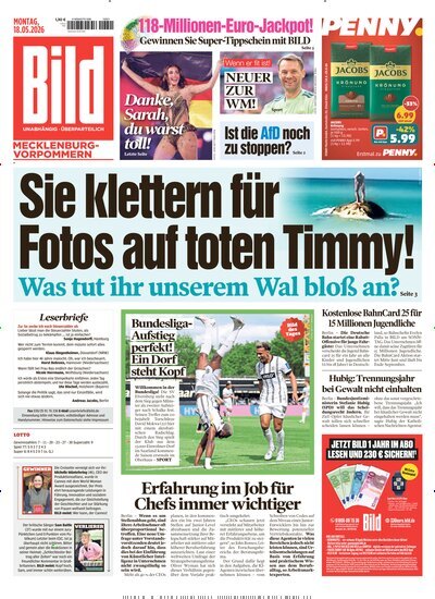 Titelbild der Ausgabe 113/2026 von BILD Mecklenburg-Vorpommern. Diese Zeitschrift und viele weitere Zeitungsabos als Abo oder epaper bei United Kiosk online kaufen.