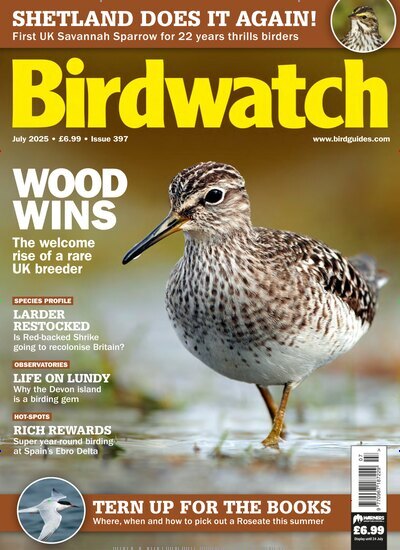 Titelbild der Ausgabe 7/2025 von Birdwatch. Diese Zeitschrift und viele weitere Reisemagazine, Freizeitmagazine und Wissensmagazine als Abo oder epaper bei United Kiosk online kaufen.