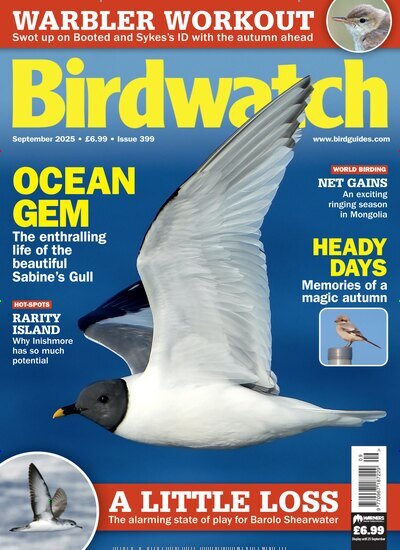 Titelbild der Ausgabe 9/2025 von Birdwatch. Diese Zeitschrift und viele weitere Reisemagazine, Freizeitmagazine und Wissensmagazine als Abo oder epaper bei United Kiosk online kaufen.