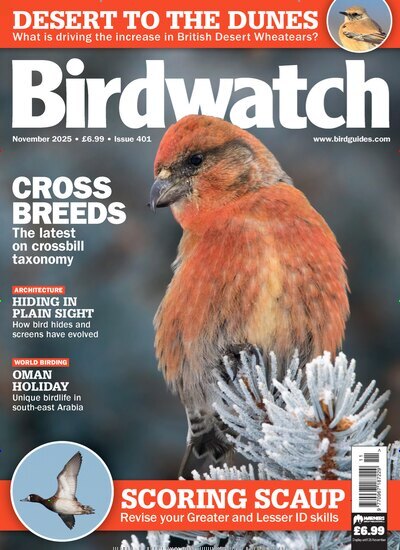 Titelbild der Ausgabe 11/2025 von Birdwatch. Diese Zeitschrift und viele weitere Reisemagazine, Freizeitmagazine und Wissensmagazine als Abo oder epaper bei United Kiosk online kaufen.