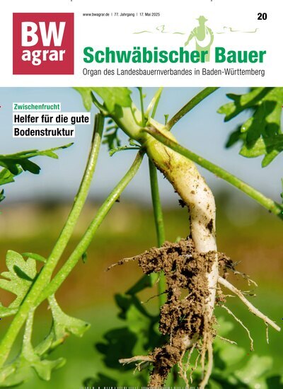 Titelbild der Ausgabe 20/2025 von BWagrar Schwäbischer Bauer. Diese Zeitschrift und viele weitere Naturzeitschriften, Landwirtschaftszeitungen und Umweltmagazine als Abo oder epaper bei United Kiosk online kaufen.