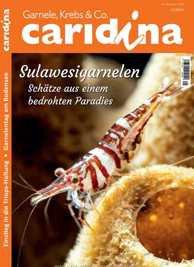 Titelbild der Ausgabe 1/2023 von caridina. Diese Zeitschrift und viele weitere Elternzeitschriften und Tierzeitschriften als Abo oder epaper bei United Kiosk online kaufen.