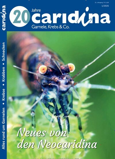 Titelbild der Ausgabe 1/2026 von caridina. Diese Zeitschrift und viele weitere Elternzeitschriften und Tierzeitschriften als Abo oder epaper bei United Kiosk online kaufen.