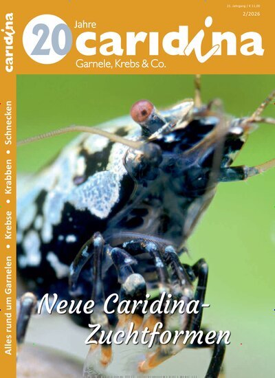 Titelbild der Ausgabe 2/2026 von caridina. Diese Zeitschrift und viele weitere Elternzeitschriften und Tierzeitschriften als Abo oder epaper bei United Kiosk online kaufen.