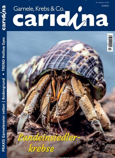 Titelbild der Ausgabe 3/2023 von caridina. Diese Zeitschrift und viele weitere Elternzeitschriften und Tierzeitschriften als Abo oder epaper bei United Kiosk online kaufen.