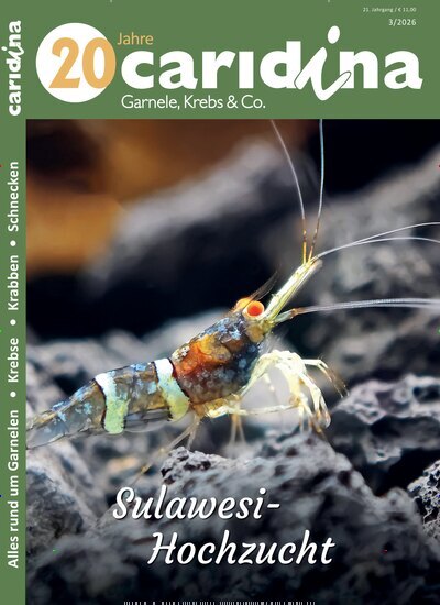 Titelbild der Ausgabe 3/2026 von caridina. Diese Zeitschrift und viele weitere Elternzeitschriften und Tierzeitschriften als Abo oder epaper bei United Kiosk online kaufen.