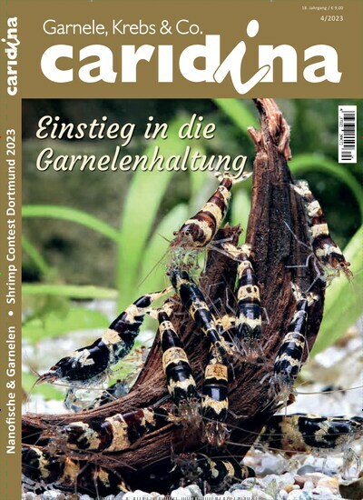 Titelbild der Ausgabe 4/2023 von caridina. Diese Zeitschrift und viele weitere Elternzeitschriften und Tierzeitschriften als Abo oder epaper bei United Kiosk online kaufen.