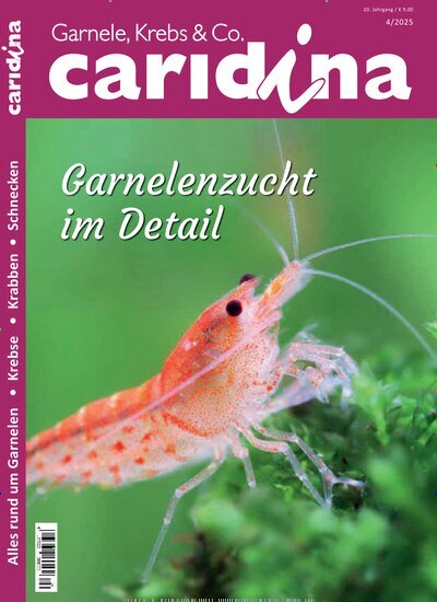 Titelbild der Ausgabe 4/2025 von caridina. Diese Zeitschrift und viele weitere Elternzeitschriften und Tierzeitschriften als Abo oder epaper bei United Kiosk online kaufen.
