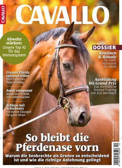 Titelbild der Ausgabe 12/2025 von Cavallo. Diese Zeitschrift und viele weitere Sportmagazine als Abo oder epaper bei United Kiosk online kaufen.
