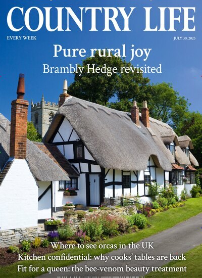 Titelbild der Ausgabe 31/2025 von Country Life. Diese Zeitschrift und viele weitere Reisemagazine, Freizeitmagazine und Wissensmagazine als Abo oder epaper bei United Kiosk online kaufen.