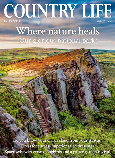 Titelbild der Ausgabe 31/2026 von Country Life. Diese Zeitschrift und viele weitere Reisemagazine, Freizeitmagazine und Wissensmagazine als Abo oder epaper bei United Kiosk online kaufen.