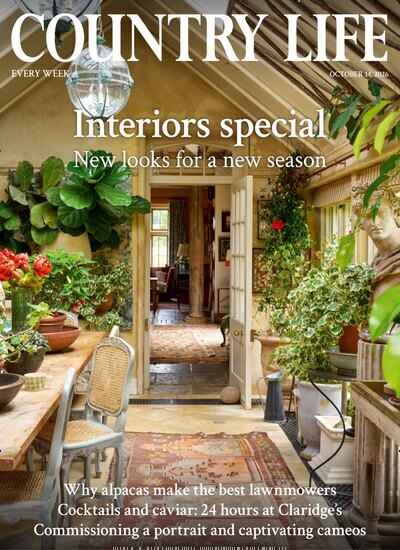 Titelbild der Ausgabe 41/2026 von Country Life. Diese Zeitschrift und viele weitere Reisemagazine, Freizeitmagazine und Wissensmagazine als Abo oder epaper bei United Kiosk online kaufen.