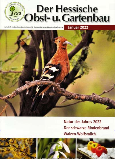 Titelbild der Ausgabe 1/2022 von Der Hessische Obst- und Gartenbau. Diese Zeitschrift und viele weitere Naturzeitschriften, Landwirtschaftszeitungen und Umweltmagazine als Abo oder epaper bei United Kiosk online kaufen.