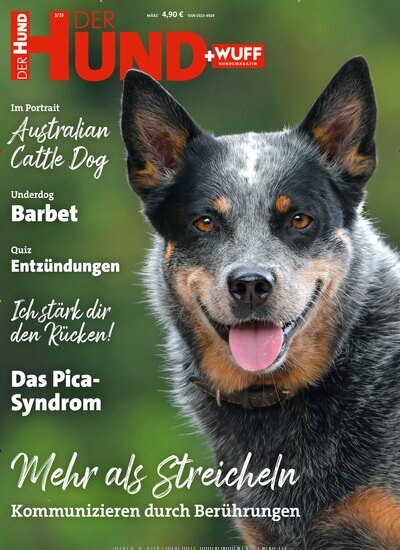 Titelbild der Ausgabe 3/2025 von Der Hund. Diese Zeitschrift und viele weitere Elternzeitschriften und Tierzeitschriften als Abo oder epaper bei United Kiosk online kaufen.