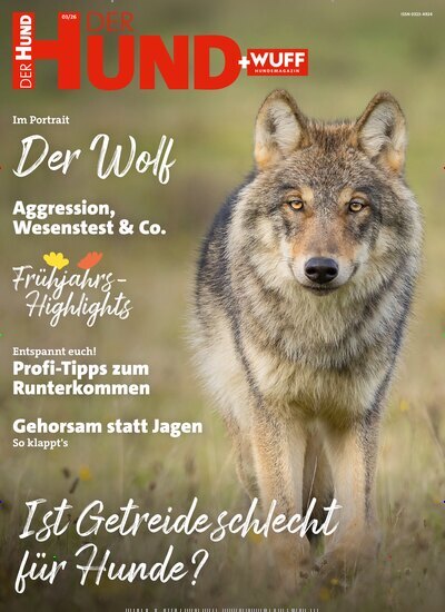 Titelbild der Ausgabe 3/2026 von Der Hund. Diese Zeitschrift und viele weitere Elternzeitschriften und Tierzeitschriften als Abo oder epaper bei United Kiosk online kaufen.