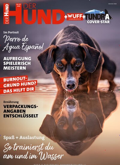 Titelbild der Ausgabe 6/2026 von Der Hund. Diese Zeitschrift und viele weitere Elternzeitschriften und Tierzeitschriften als Abo oder epaper bei United Kiosk online kaufen.