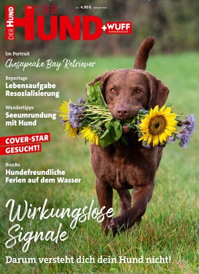 Titelbild der Ausgabe 7/2025 von Der Hund. Diese Zeitschrift und viele weitere Elternzeitschriften und Tierzeitschriften als Abo oder epaper bei United Kiosk online kaufen.