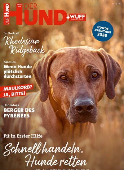 Titelbild der Ausgabe 8/2026 von Der Hund. Diese Zeitschrift und viele weitere Elternzeitschriften und Tierzeitschriften als Abo oder epaper bei United Kiosk online kaufen.