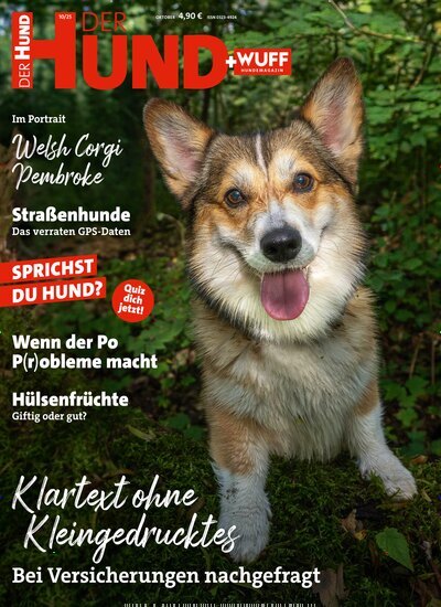 Titelbild der Ausgabe 10/2025 von Der Hund. Diese Zeitschrift und viele weitere Elternzeitschriften und Tierzeitschriften als Abo oder epaper bei United Kiosk online kaufen.