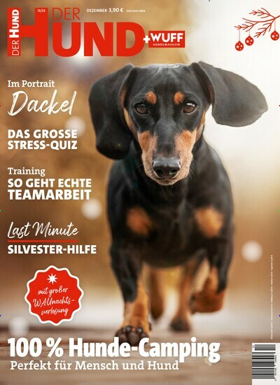 Titelbild der Ausgabe 12/2023 von Der Hund. Diese Zeitschrift und viele weitere Elternzeitschriften und Tierzeitschriften als Abo oder epaper bei United Kiosk online kaufen.