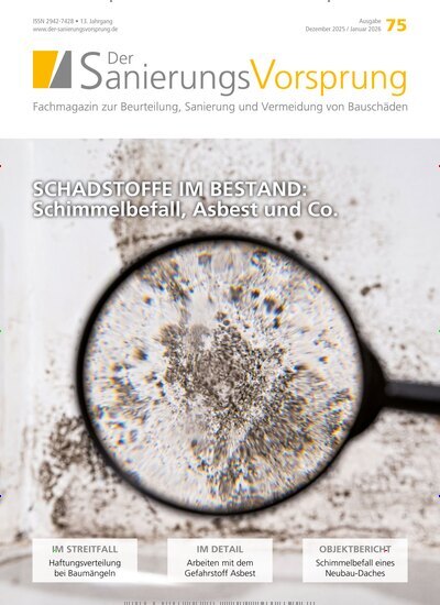 Titelbild der Ausgabe 6/2025 von Der SanierungsVorsprung. Diese Zeitschrift und viele weitere Architekturzeitschriften und Bauzeitschriften als Abo oder epaper bei United Kiosk online kaufen.