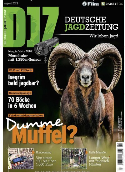 Titelbild der Ausgabe 8/2025 von Deutsche Jagdzeitung (DJZ). Diese Zeitschrift und viele weitere Sportmagazine als Abo oder epaper bei United Kiosk online kaufen.