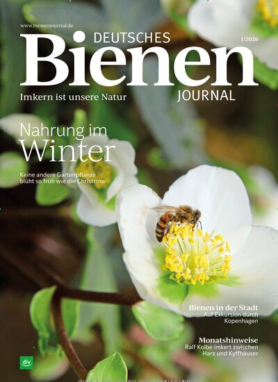 Titelbild der Ausgabe 1/2026 von Deutsches Bienenjournal. Diese Zeitschrift und viele weitere Naturzeitschriften, Landwirtschaftszeitungen und Umweltmagazine als Abo oder epaper bei United Kiosk online kaufen.