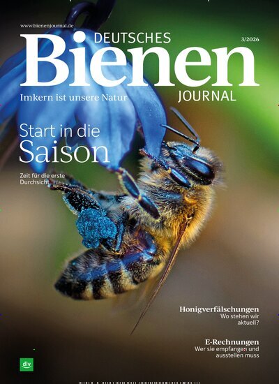 Titelbild der Ausgabe 3/2026 von Deutsches Bienenjournal. Diese Zeitschrift und viele weitere Naturzeitschriften, Landwirtschaftszeitungen und Umweltmagazine als Abo oder epaper bei United Kiosk online kaufen.