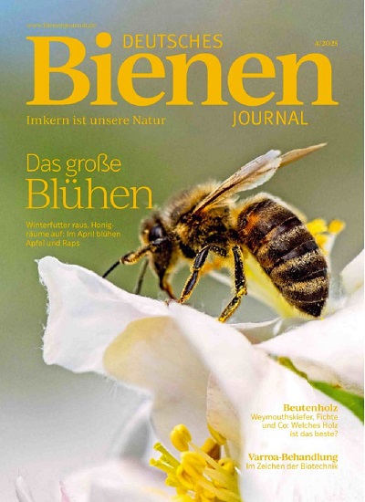 Titelbild der Ausgabe 4/2025 von Deutsches Bienenjournal. Diese Zeitschrift und viele weitere Naturzeitschriften, Landwirtschaftszeitungen und Umweltmagazine als Abo oder epaper bei United Kiosk online kaufen.