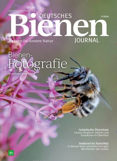 Titelbild der Ausgabe 5/2026 von Deutsches Bienenjournal. Diese Zeitschrift und viele weitere Naturzeitschriften, Landwirtschaftszeitungen und Umweltmagazine als Abo oder epaper bei United Kiosk online kaufen.
