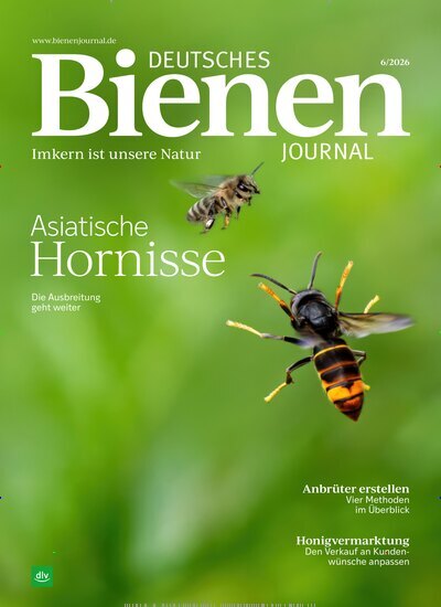 Titelbild der Ausgabe 6/2026 von Deutsches Bienenjournal. Diese Zeitschrift und viele weitere Naturzeitschriften, Landwirtschaftszeitungen und Umweltmagazine als Abo oder epaper bei United Kiosk online kaufen.