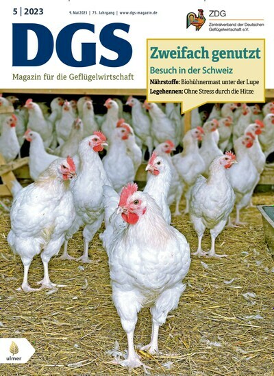 Titelbild der Ausgabe 5/2023 von DGS Magazin. Diese Zeitschrift und viele weitere Naturzeitschriften, Landwirtschaftszeitungen und Umweltmagazine als Abo oder epaper bei United Kiosk online kaufen.