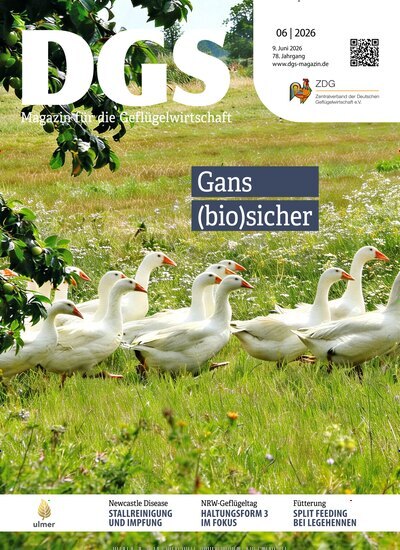 Titelbild der Ausgabe 6/2026 von DGS Magazin. Diese Zeitschrift und viele weitere Naturzeitschriften, Landwirtschaftszeitungen und Umweltmagazine als Abo oder epaper bei United Kiosk online kaufen.