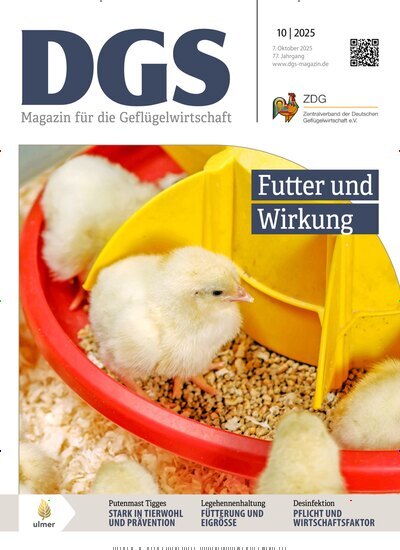 Titelbild der Ausgabe 10/2025 von DGS Magazin. Diese Zeitschrift und viele weitere Naturzeitschriften, Landwirtschaftszeitungen und Umweltmagazine als Abo oder epaper bei United Kiosk online kaufen.