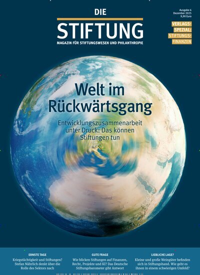 Titelbild der Ausgabe 6/2025 von DIE STIFTUNG. Diese Zeitschrift und viele weitere Businessmagazine als Abo oder epaper bei United Kiosk online kaufen.