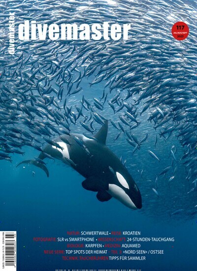 Titelbild der Ausgabe 3/2023 von Divemaster. Diese Zeitschrift und viele weitere Sportmagazine als Abo oder epaper bei United Kiosk online kaufen.