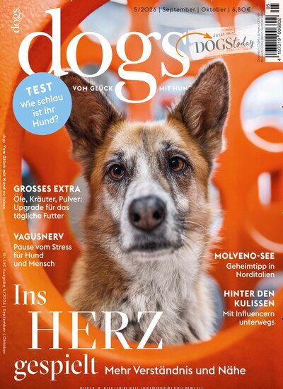 Titelbild der Ausgabe 5/2026 von Dogs. Diese Zeitschrift und viele weitere Elternzeitschriften und Tierzeitschriften als Abo oder epaper bei United Kiosk online kaufen.