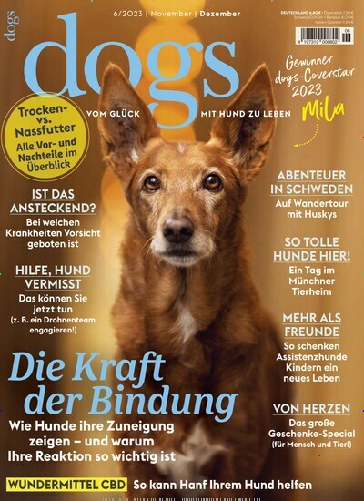 Titelbild der Ausgabe 6/2023 von Dogs. Diese Zeitschrift und viele weitere Elternzeitschriften und Tierzeitschriften als Abo oder epaper bei United Kiosk online kaufen.