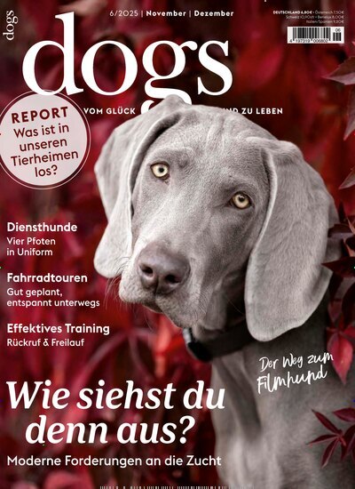 Titelbild der Ausgabe 6/2025 von Dogs. Diese Zeitschrift und viele weitere Elternzeitschriften und Tierzeitschriften als Abo oder epaper bei United Kiosk online kaufen.