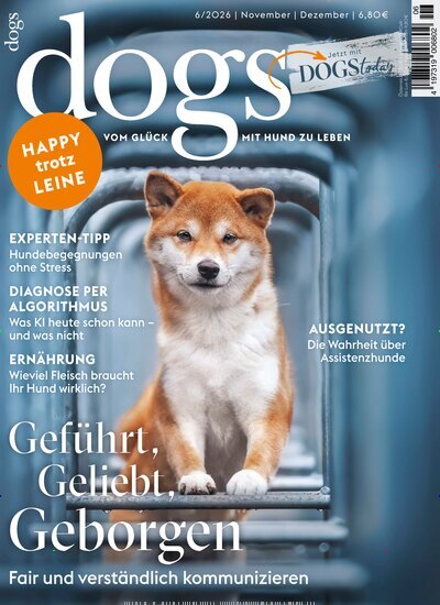 Titelbild der Ausgabe 6/2026 von Dogs. Diese Zeitschrift und viele weitere Elternzeitschriften und Tierzeitschriften als Abo oder epaper bei United Kiosk online kaufen.