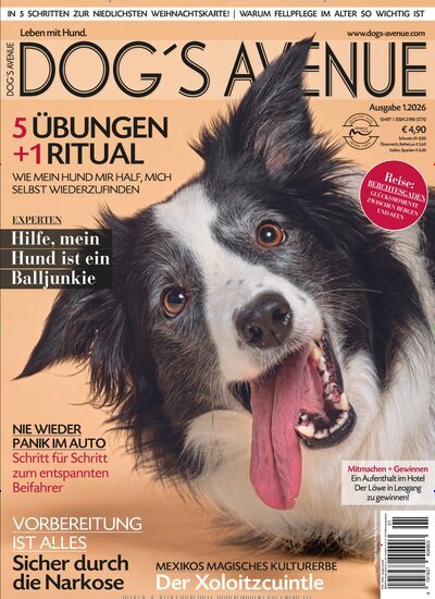Titelbild der Ausgabe 1/2026 von Dogs Avenue. Diese Zeitschrift und viele weitere Elternzeitschriften und Tierzeitschriften als Abo oder epaper bei United Kiosk online kaufen.