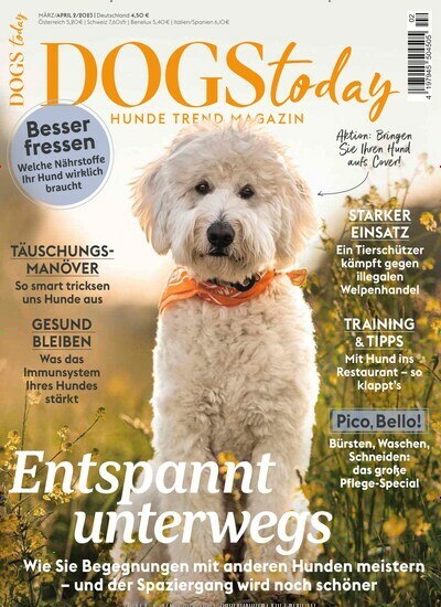 Titelbild der Ausgabe 2/2023 von DOGS Today. Diese Zeitschrift und viele weitere Elternzeitschriften und Tierzeitschriften als Abo oder epaper bei United Kiosk online kaufen.