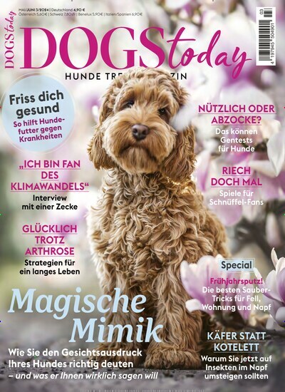 Titelbild der Ausgabe 3/2024 von DOGS Today. Diese Zeitschrift und viele weitere Elternzeitschriften und Tierzeitschriften als Abo oder epaper bei United Kiosk online kaufen.