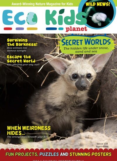 Titelbild der Ausgabe 4/2026 von Eco Kids Planet Magazine. Diese Zeitschrift und viele weitere Jugendzeitschriften und Kinderzeitschriften als Abo oder epaper bei United Kiosk online kaufen.