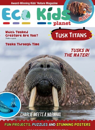 Titelbild der Ausgabe 5/2025 von Eco Kids Planet Magazine. Diese Zeitschrift und viele weitere Jugendzeitschriften und Kinderzeitschriften als Abo oder epaper bei United Kiosk online kaufen.