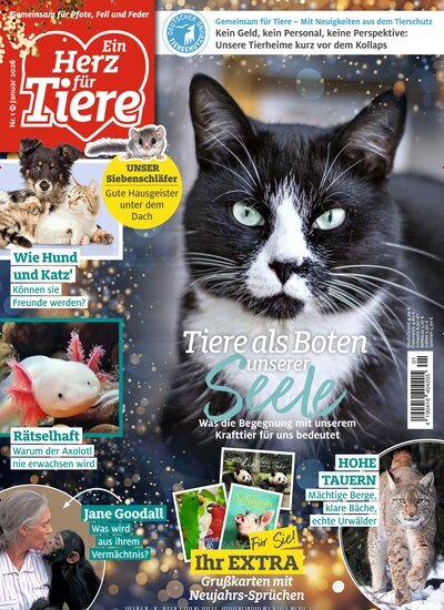 Titelbild der Ausgabe 1/2026 von Ein Herz für Tiere. Diese Zeitschrift und viele weitere Elternzeitschriften und Tierzeitschriften als Abo oder epaper bei United Kiosk online kaufen.
