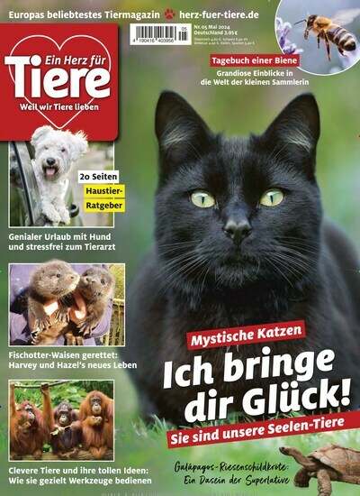 Titelbild der Ausgabe 5/2024 von Ein Herz für Tiere. Diese Zeitschrift und viele weitere Elternzeitschriften und Tierzeitschriften als Abo oder epaper bei United Kiosk online kaufen.