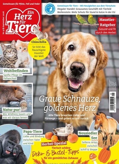 Titelbild der Ausgabe 9/2026 von Ein Herz für Tiere. Diese Zeitschrift und viele weitere Elternzeitschriften und Tierzeitschriften als Abo oder epaper bei United Kiosk online kaufen.
