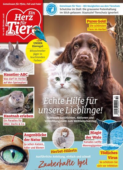 Titelbild der Ausgabe 10/2026 von Ein Herz für Tiere. Diese Zeitschrift und viele weitere Elternzeitschriften und Tierzeitschriften als Abo oder epaper bei United Kiosk online kaufen.